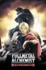 جميع حلقات انمي Fullmetal Alchemist: Brotherhood مترجم
